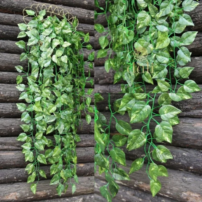 Generic Pack Of 3 Silk Polyester Artificial Money Plant Leaf Vine Hanging Garland Foliage Flowers Leaf Plants For Wall Decoration (Color: Green,Length: 15 Feet) - Image 3
