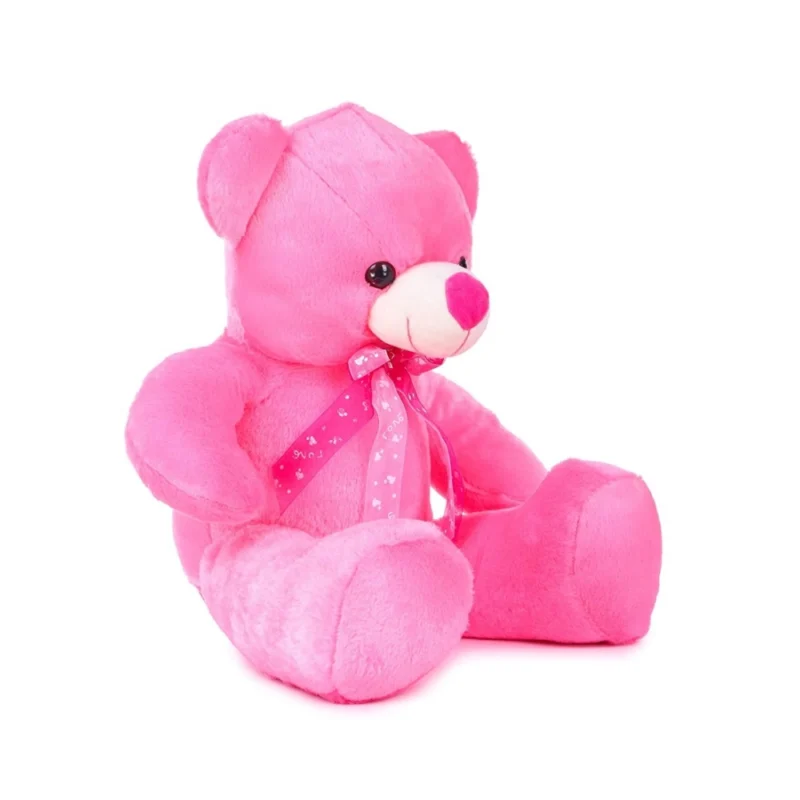 Generic Teddy Bear Toy (Pink) - Image 3