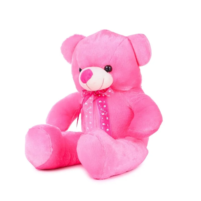 Generic Teddy Bear Toy (Pink) - Image 2
