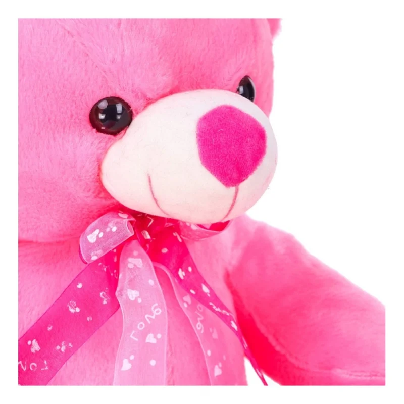 Generic Teddy Bear Toy (Pink) - Image 4