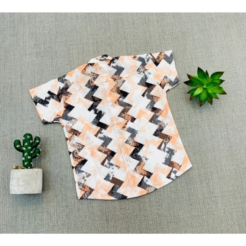 Generic Boy's Cotton Blend Printed Short Sleeve Shirt and Shorts Set (MultiColor) - Image 4